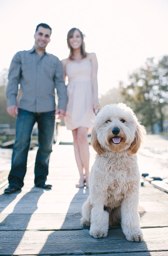 Engagement photography. Photo of labradoodle with couple in the background.
