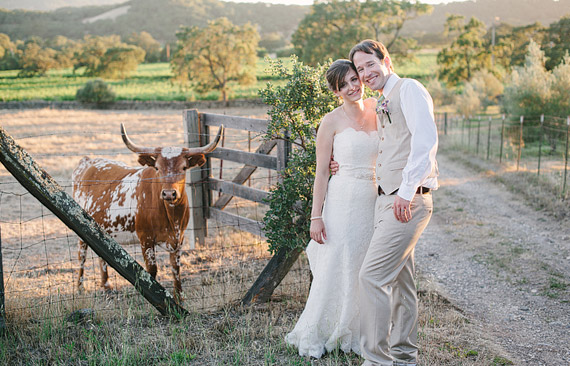 Bride and groom portrait with longhorn bull in the background. Beautiful sunset light.